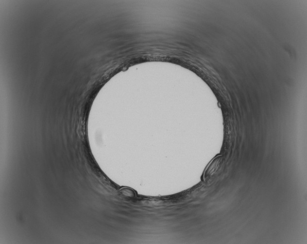 X0000111250419200907301331