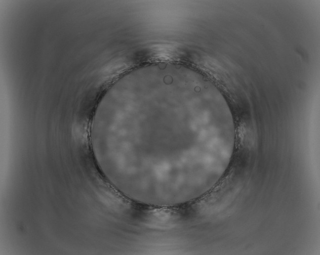 X0000111250423200907301331