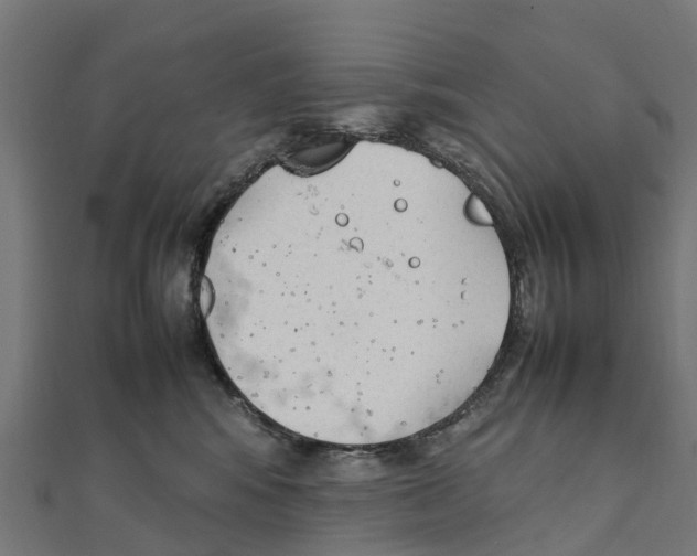 X0000111250424200907301331