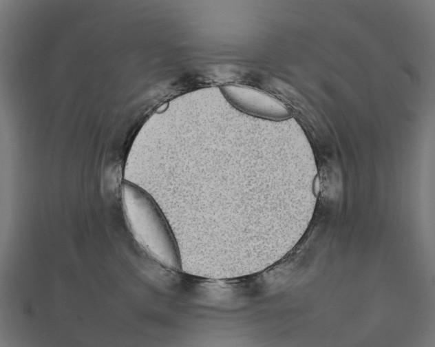 X0000111250425200907301331