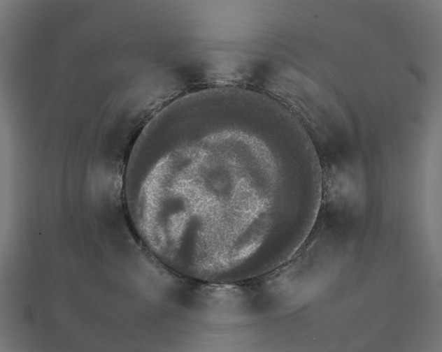 X0000111250427200907301331