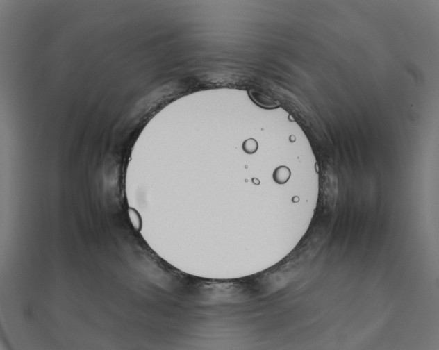 X0000111250428200907301331