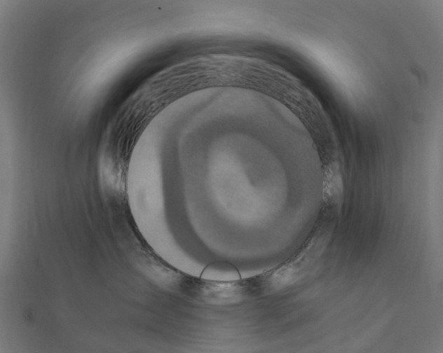 X0000111250431200907301331