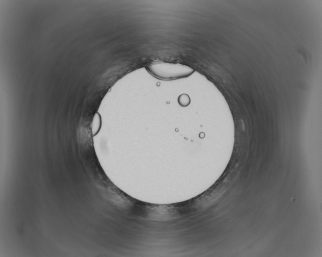 X0000111250432200907301331