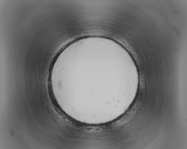 X0000111250434200907301330