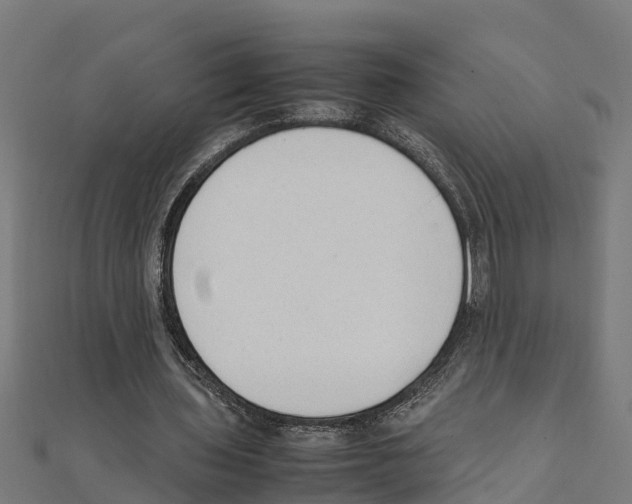 X0000111250435200907301330