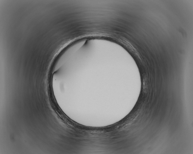 X0000111250436200907301330