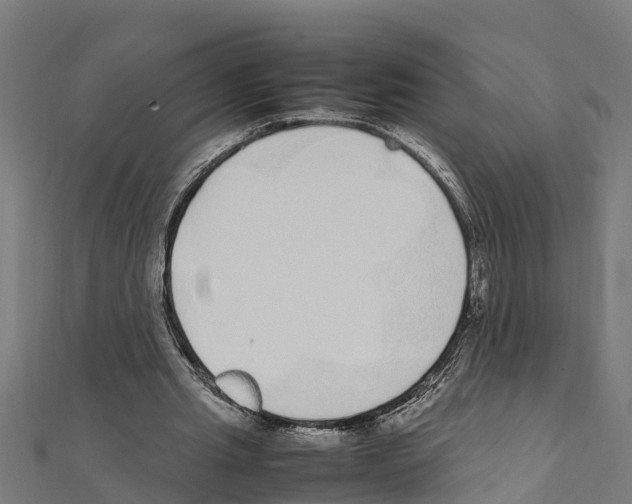 X0000111250437200907301330