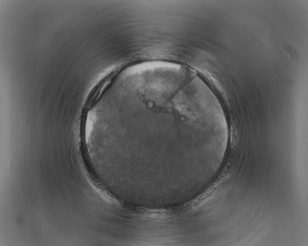 X0000111250438200907301330