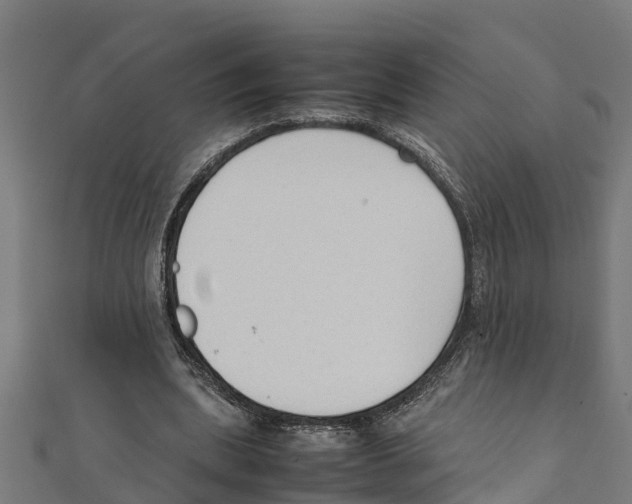 X0000111250439200907301330