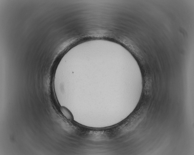 X0000111250440200907301330