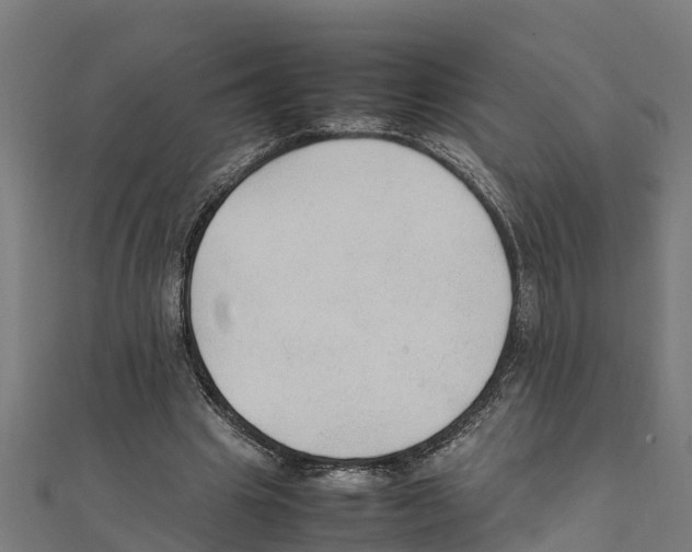 X0000111250441200907301330