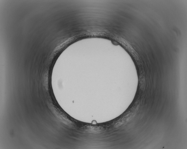 X0000111250442200907301330