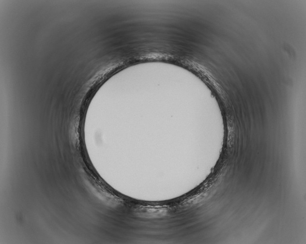 X0000111250443200907301330