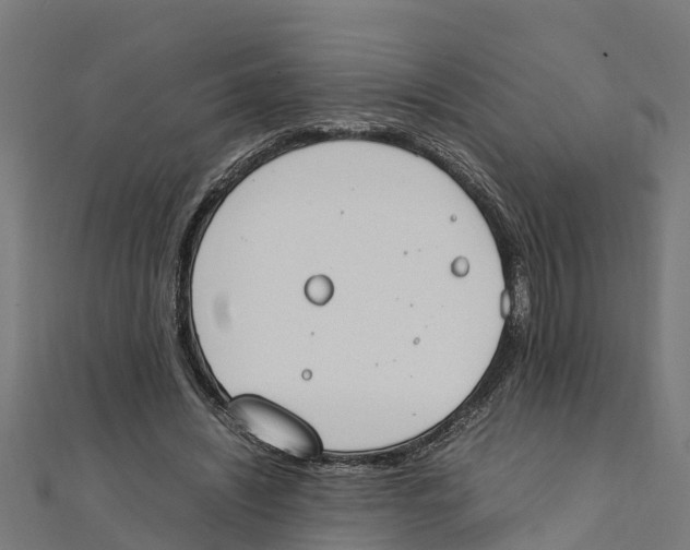 X0000111250444200907301330