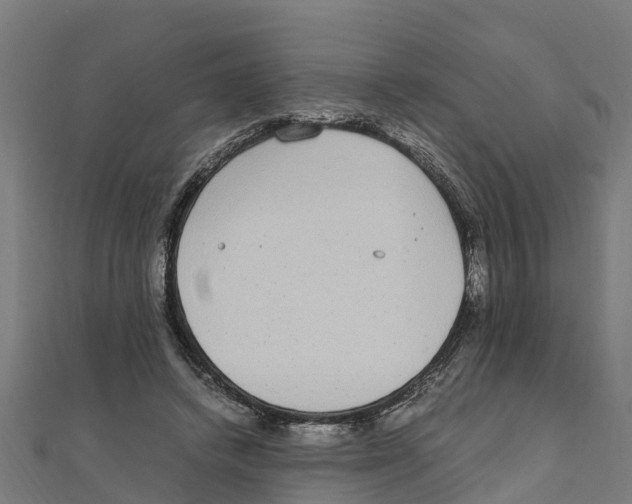 X0000111250448200907301330