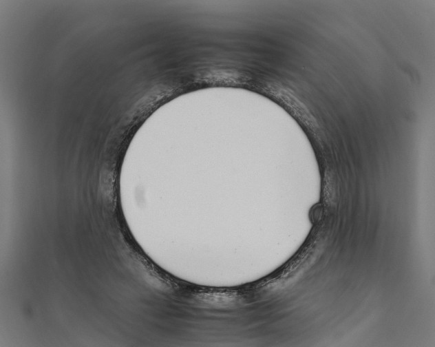 X0000111250449200907301330