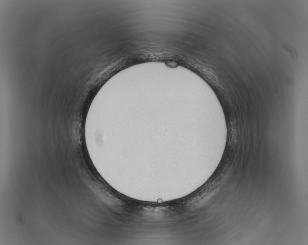 X0000111250450200907301330