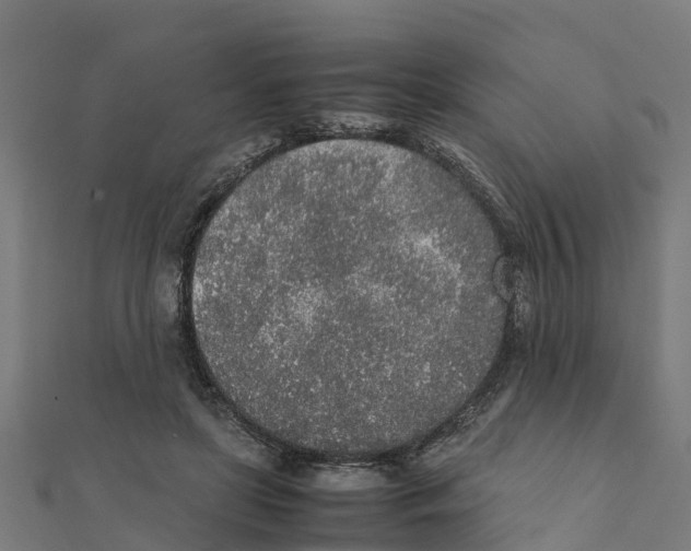 X0000111250451200907301330