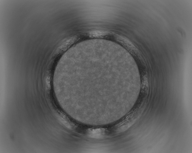 X0000111250452200907301330