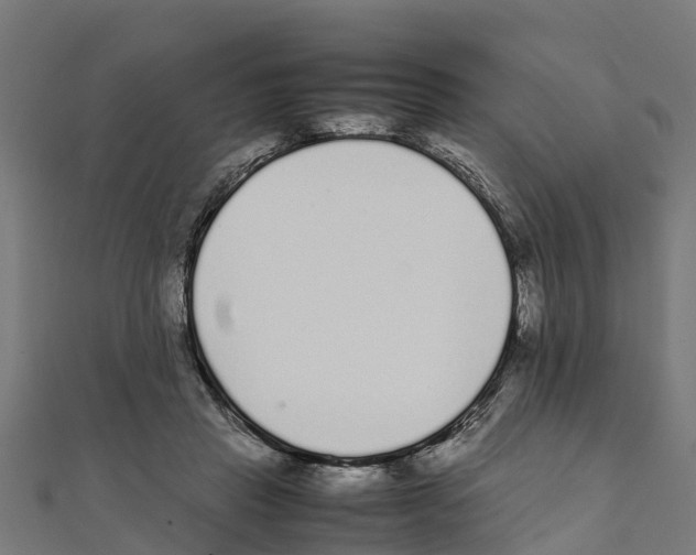 X0000111250453200907301330