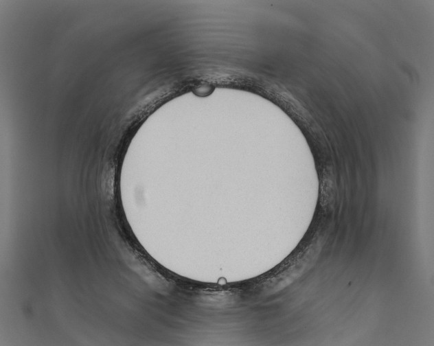 X0000111250454200907301330