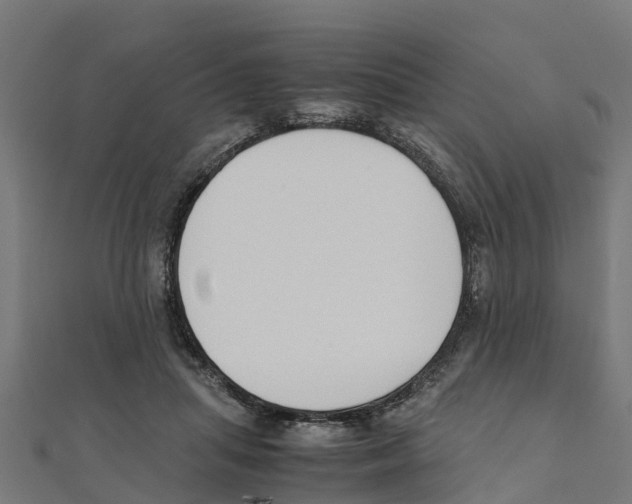 X0000111250455200907301330