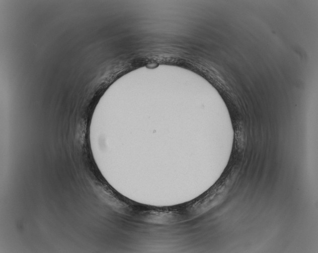 X0000111250458200907301330