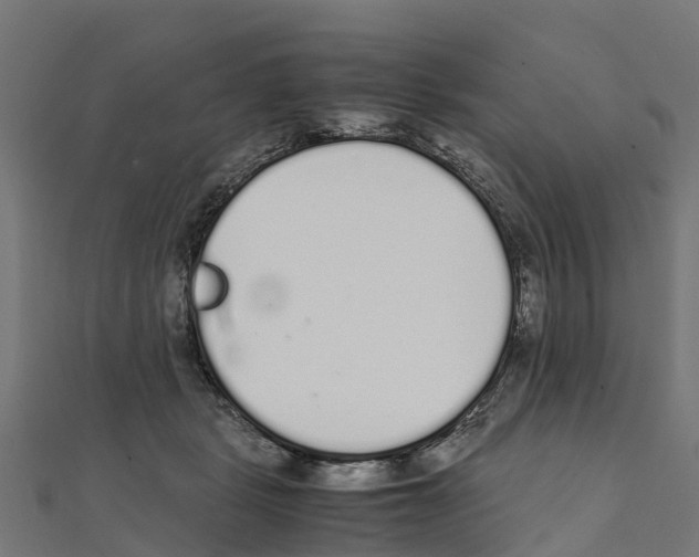 X0000111250461200907301330