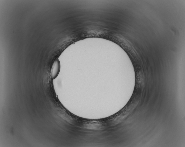 X0000111250463200907301330