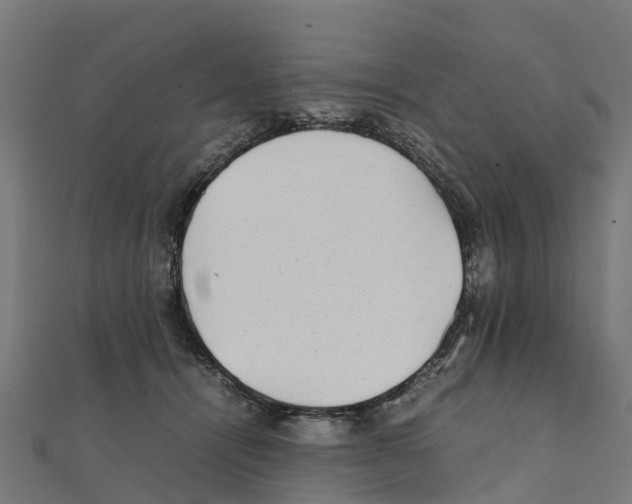 X0000111250464200907301330