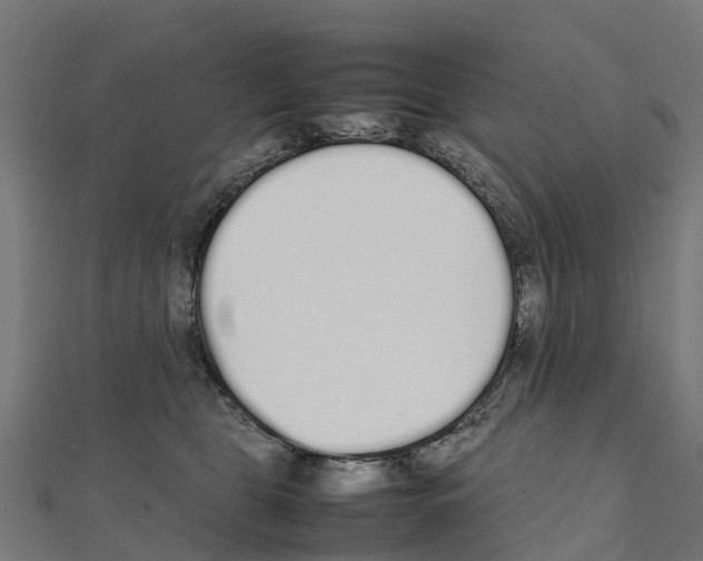 X0000111250469200907301330