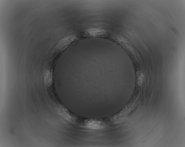 X0000111250471200907301330