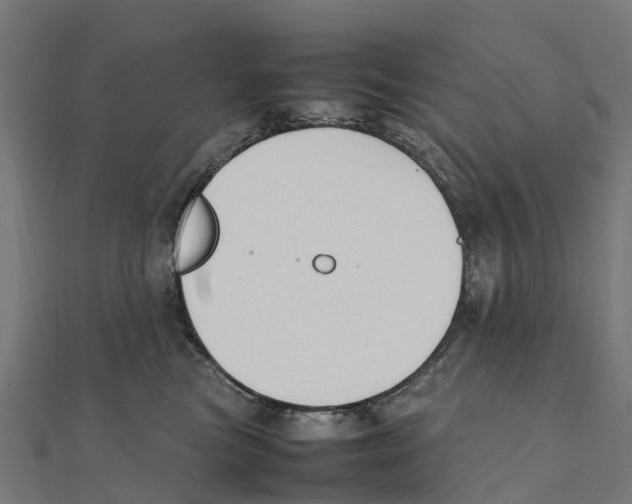 X0000111250473200907301331