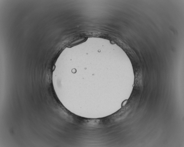 X0000111250474200907301331