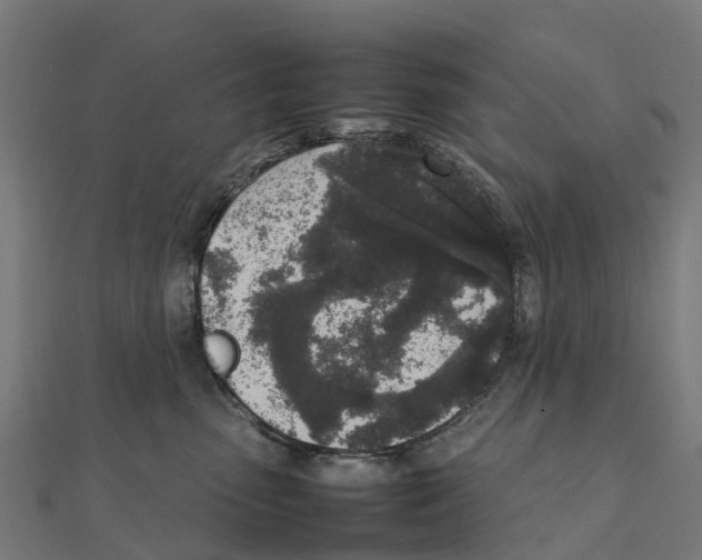 X0000111250475200907301331