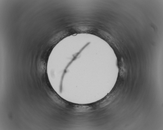 X0000111250476200907301331