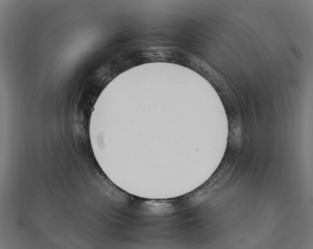 X0000111250477200907301331