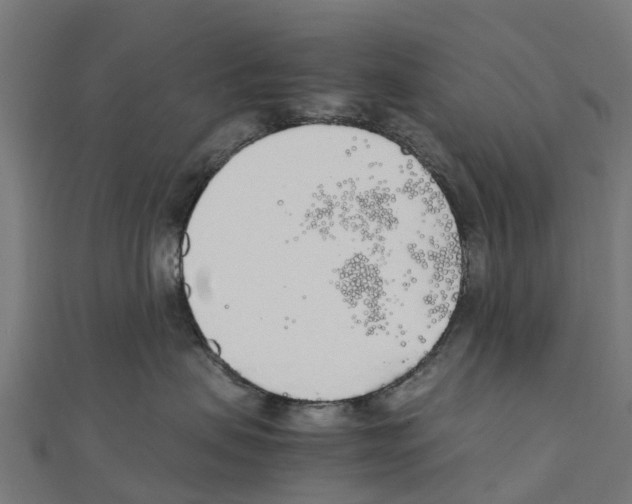 X0000111250479200907301331