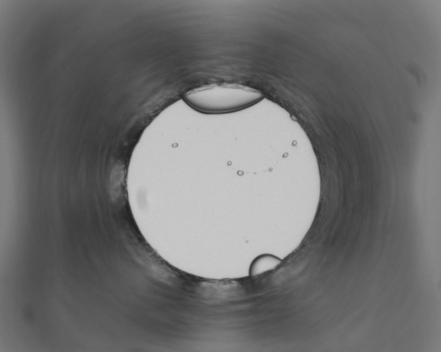 X0000111250480200907301331