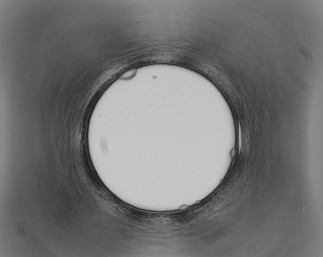 X0000111250483200907301330