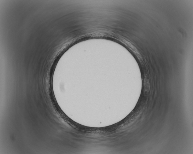 X0000111250485200907301330