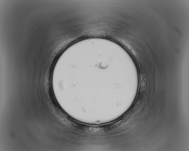 X0000111250487200907301330