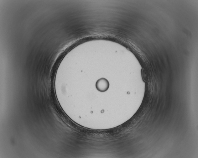 X0000111250488200907301330