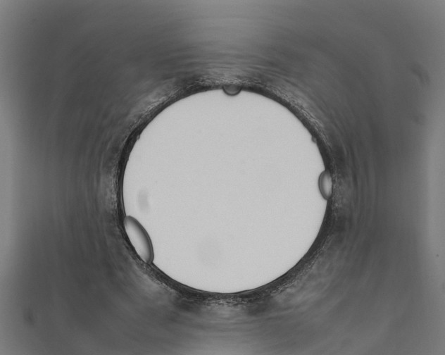 X0000111250489200907301330