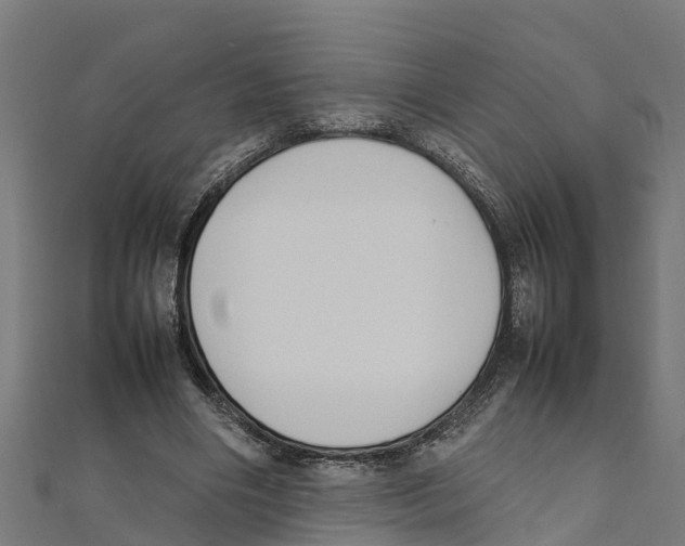 X0000111250490200907301330