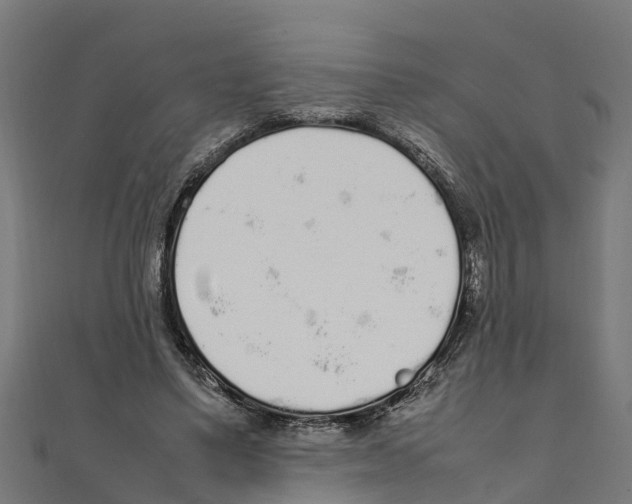 X0000111250491200907301330