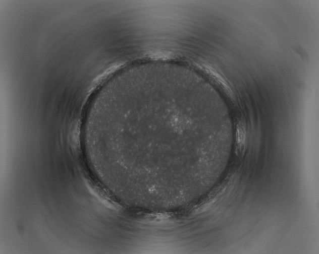 X0000111250492200907301330