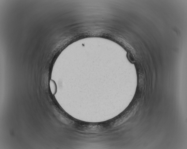 X0000111250493200907301330