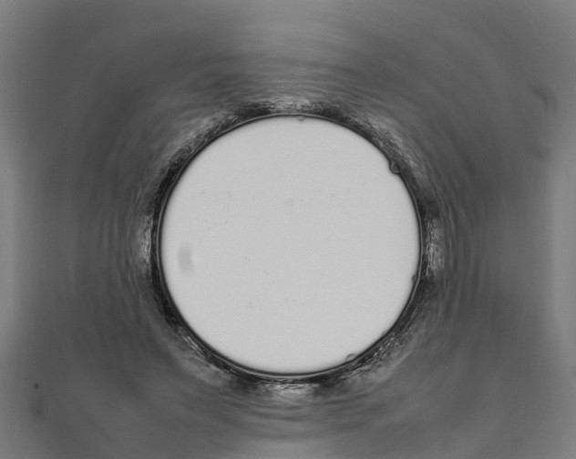 X0000111250495200907301330